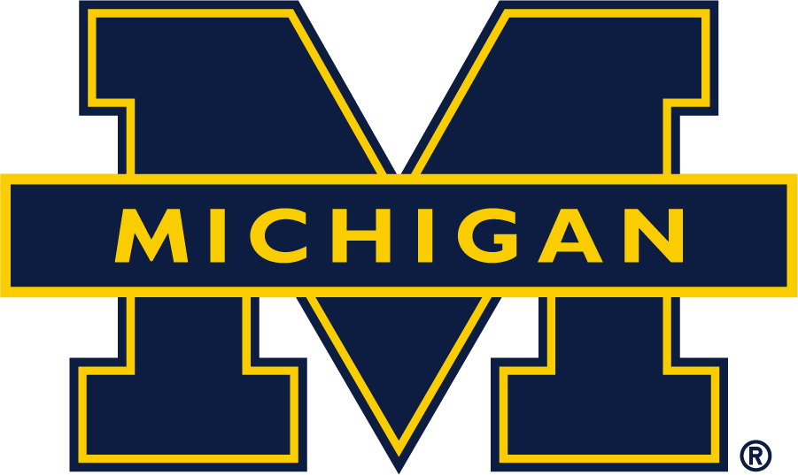 Michigan Wolverines 1994-2016 Alternate Logo DIY iron on transfer (heat transfer)